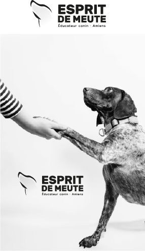 espritdemeute2